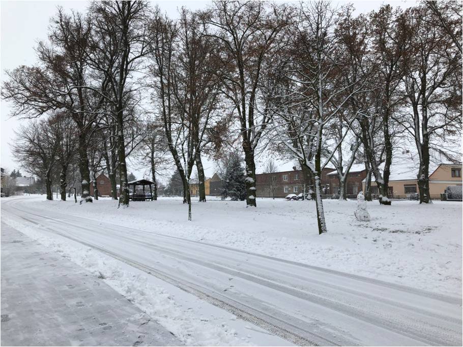 Winterimpression im Jan 2021 - Festwiese