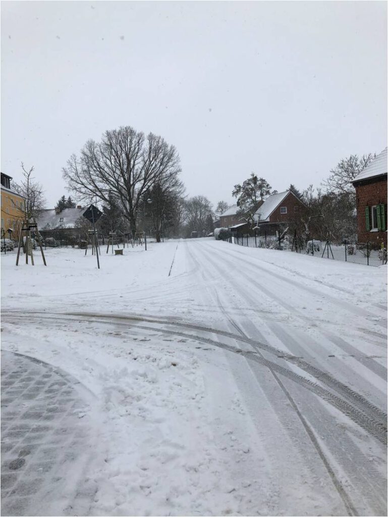 Winterimpression im Jan 2021 - Hohensteiner Weg