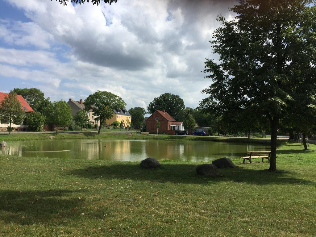 Am Teich
