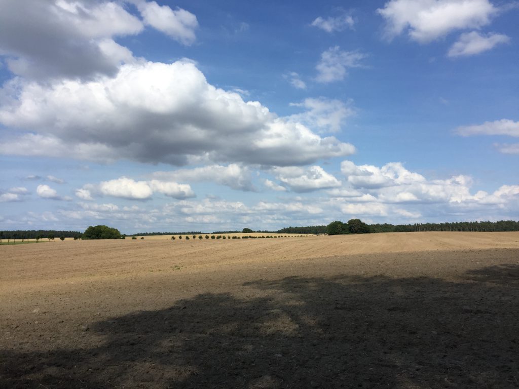 Spätsommerliche Felder