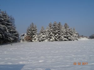 Winter 2017